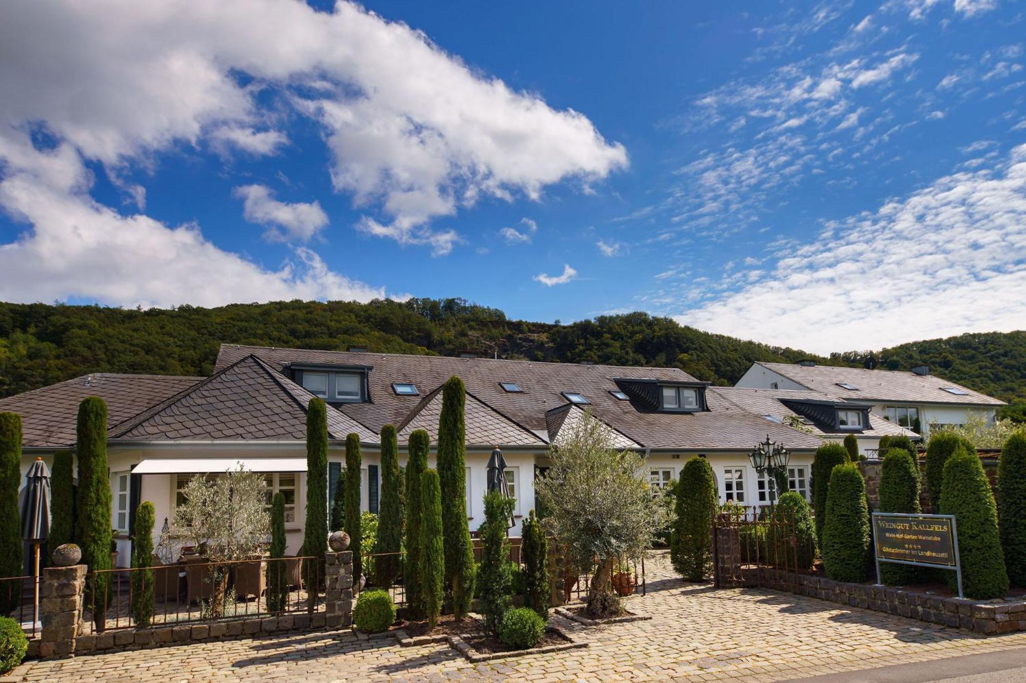 Wein Und Landhaus Kallfels Kröv Екстериор снимка